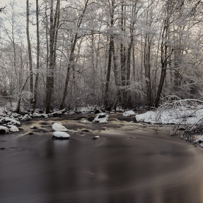 Miljömedveten fotografering