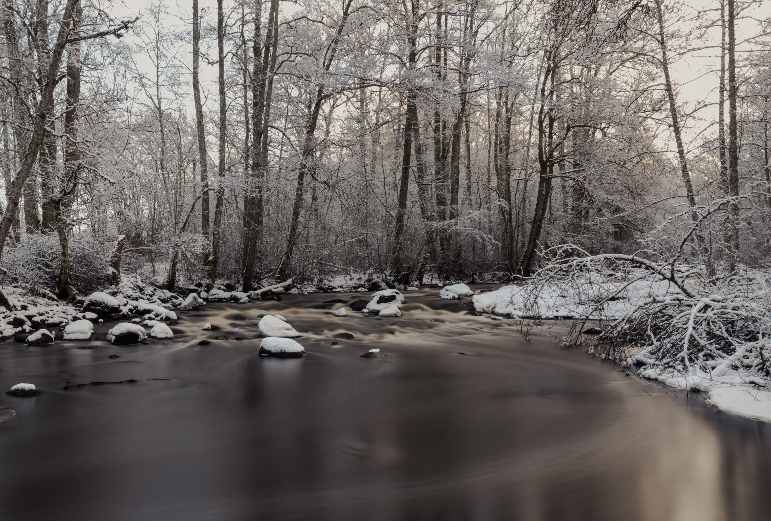 Miljömedveten fotografering